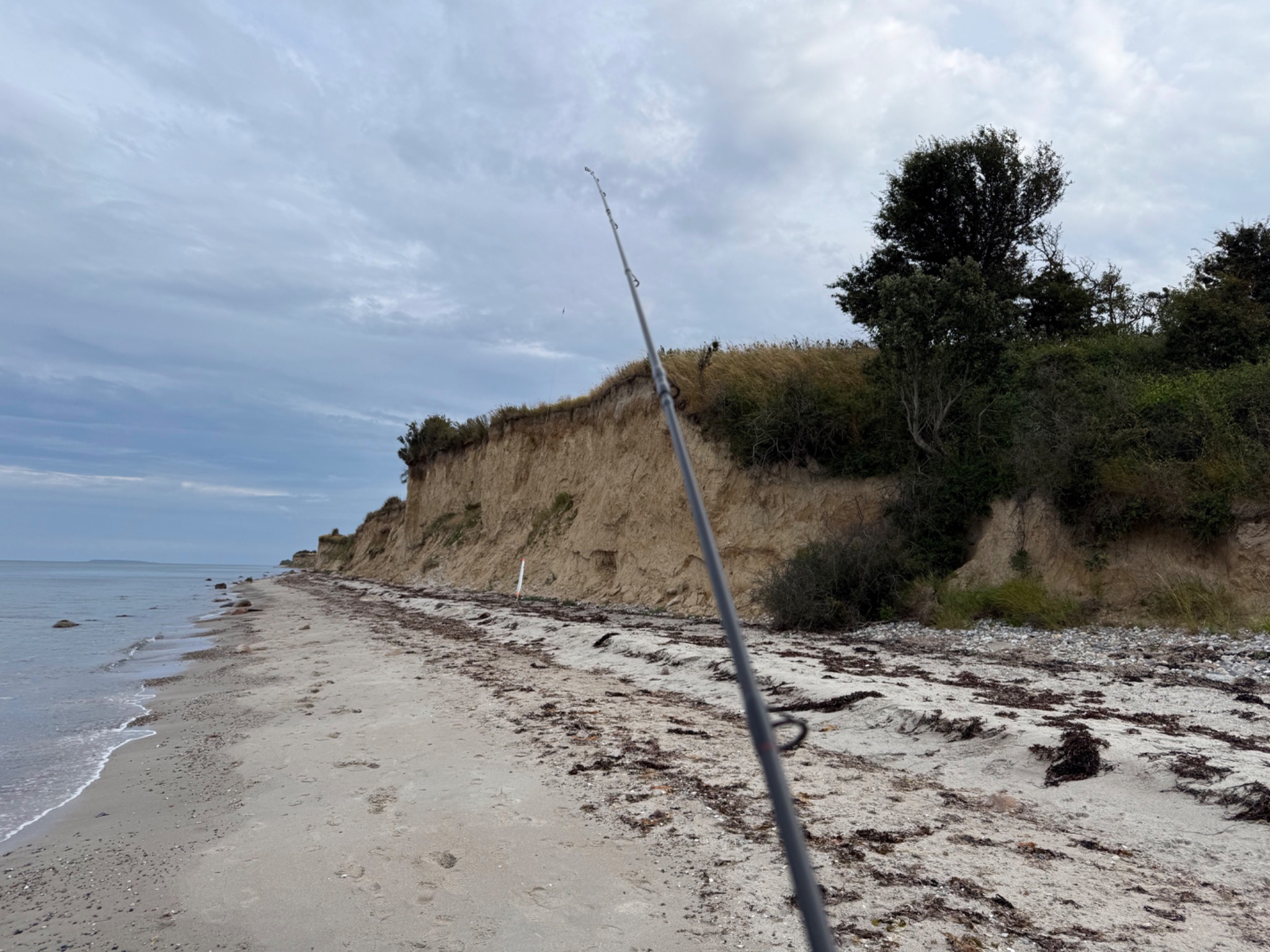 Fiskestang og kystklint ved Nordskov